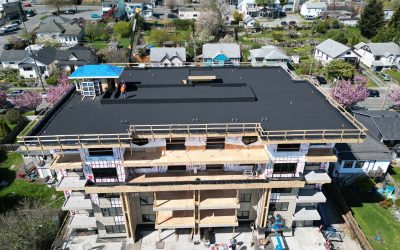 WHAT’S BUILDING – MARCH 2024 UPDATE